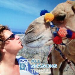 Logo for All Seasons Travel Logo for All Seasons Travel