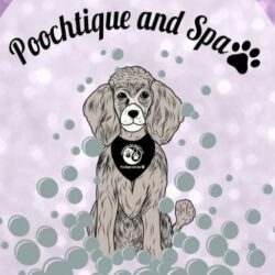 Logo for Discover Pet Health, LLC Poochtique and Spaw Logo for Discover Pet Health, LLC Poochtique and Spaw