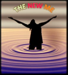 Logo for The New Me ReEnter Logo for The New Me ReEnter