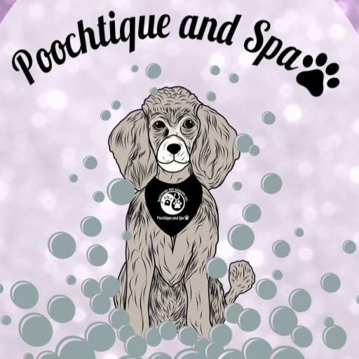 Discover Pet Health, LLC Poochtique & Spaw